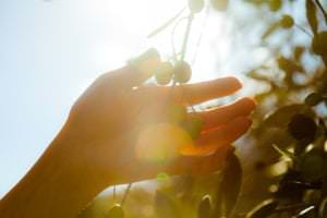 Squalane naturel d'origine végétale