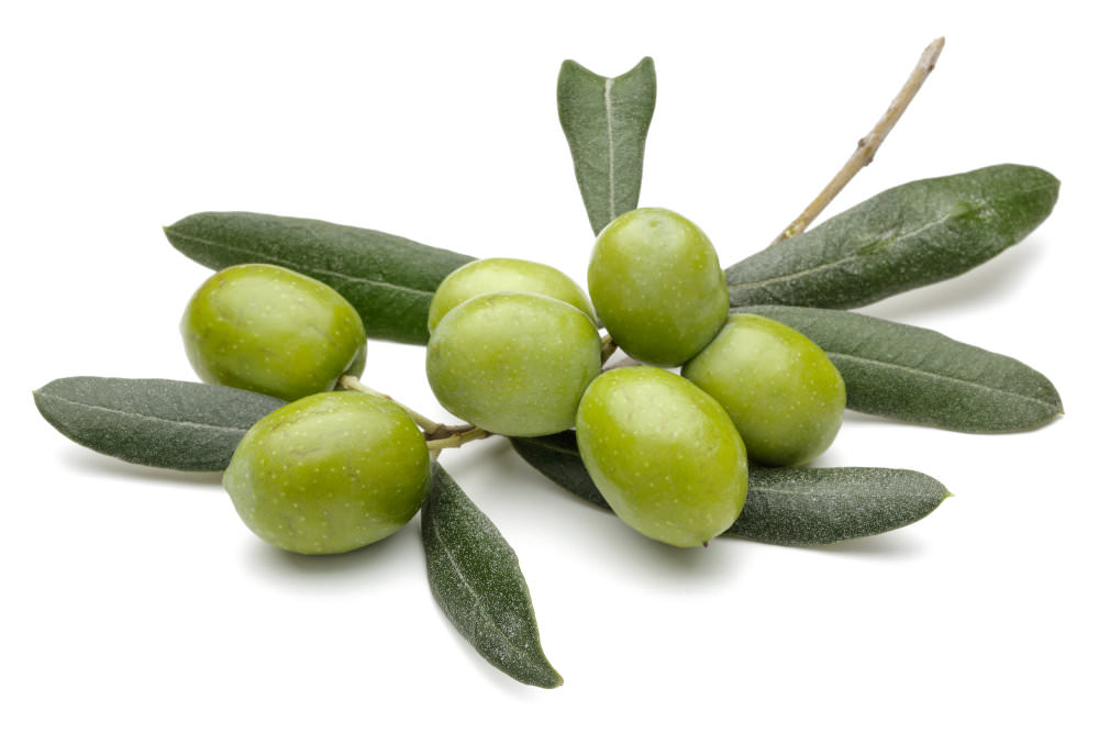 squalane olive